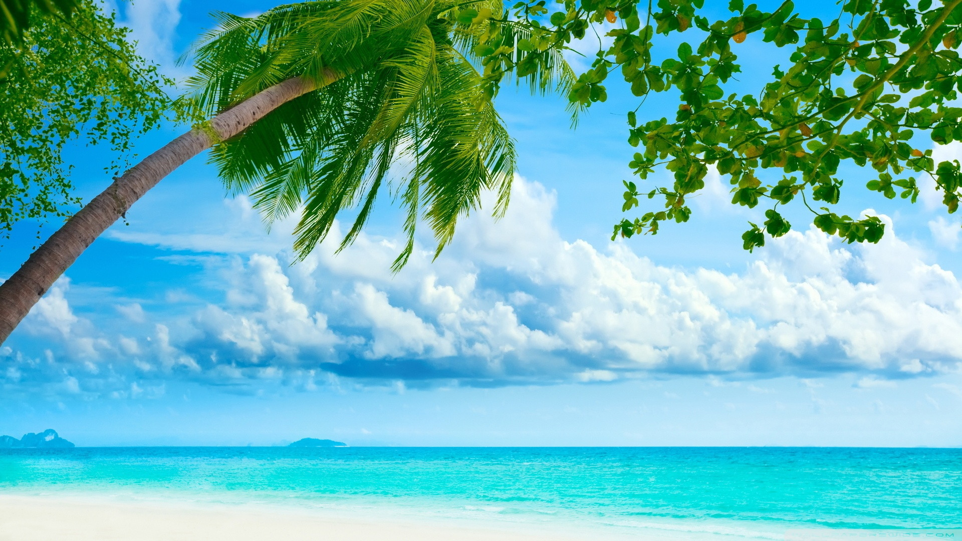 1920 x 1080 HD Wallpapers 2746